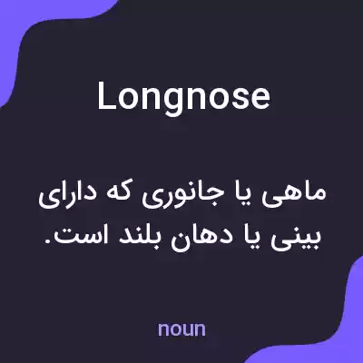 معنی longnose به فارسی معنی longnose به فارسی