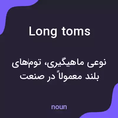 معنی long toms به فارسی معنی long toms به فارسی