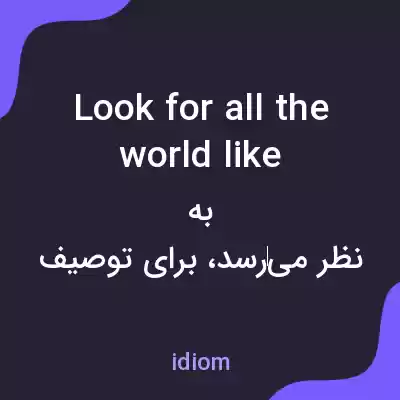 معنی look for all the world like به فارسی معنی look for all the world like به فارسی