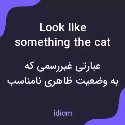 معنی look like something the cat dragged in به فارسی معنی look like something the cat dragged in به فارسی