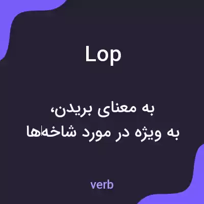معنی lop به فارسی معنی lop به فارسی