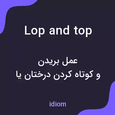 معنی lop and top به فارسی معنی lop and top به فارسی