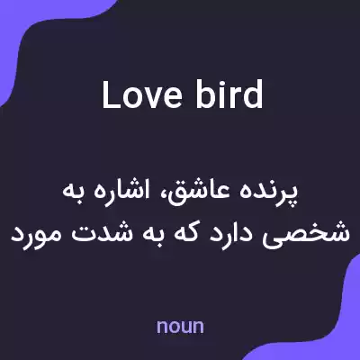 معنی love bird به فارسی معنی love bird به فارسی