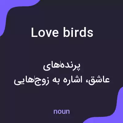 معنی love birds به فارسی معنی love birds به فارسی