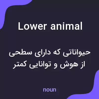 معنی lower animal به فارسی معنی lower animal به فارسی