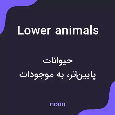 معنی lower animals به فارسی معنی lower animals به فارسی