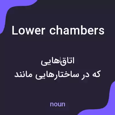 معنی lower chambers به فارسی معنی lower chambers به فارسی