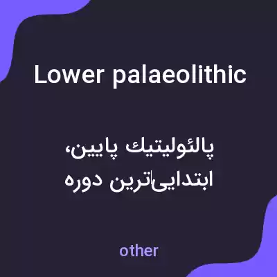 معنی lower palaeolithic به فارسی معنی lower palaeolithic به فارسی