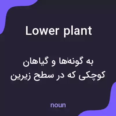 معنی lower plant به فارسی معنی lower plant به فارسی