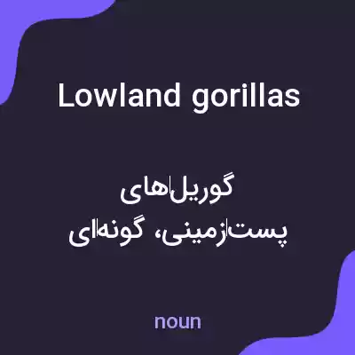معنی lowland gorillas به فارسی معنی lowland gorillas به فارسی