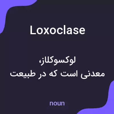 معنی loxoclase به فارسی معنی loxoclase به فارسی