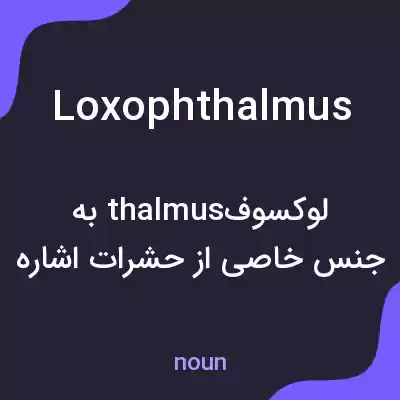 معنی loxophthalmus به فارسی