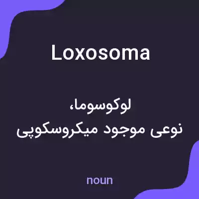 معنی loxosoma به فارسی معنی loxosoma به فارسی
