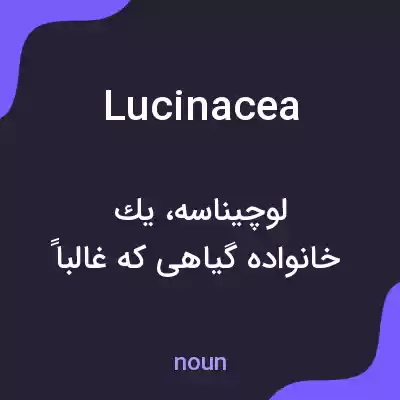 معنی lucinacea به فارسی معنی lucinacea به فارسی