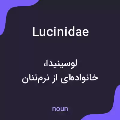 معنی lucinidae به فارسی معنی lucinidae به فارسی
