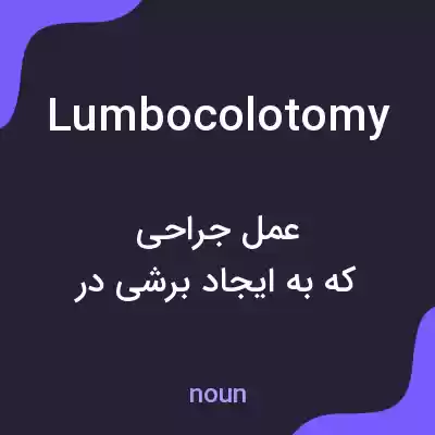 معنی lumbocolotomy به فارسی معنی lumbocolotomy به فارسی