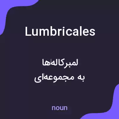 معنی lumbricales به فارسی معنی lumbricales به فارسی