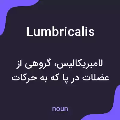 معنی lumbricalis به فارسی معنی lumbricalis به فارسی