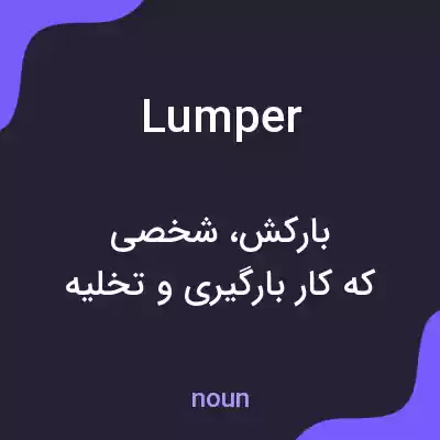 معنی lumper به فارسی معنی lumper به فارسی