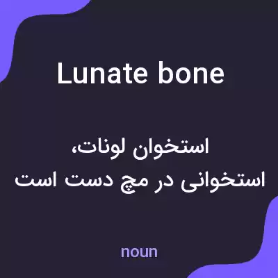 معنی lunate bone به فارسی معنی lunate bone به فارسی