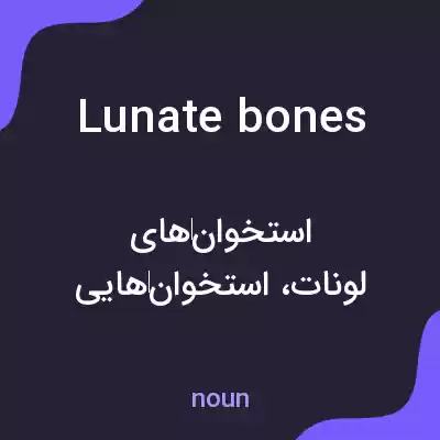 معنی lunate bones به فارسی معنی lunate bones به فارسی