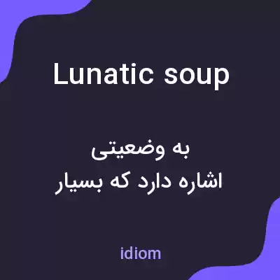 معنی lunatic soup به فارسی معنی lunatic soup به فارسی