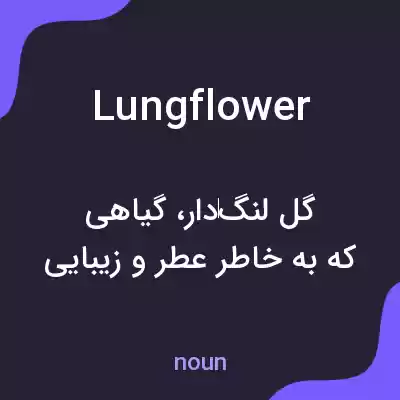 معنی lungflower به فارسی معنی lungflower به فارسی