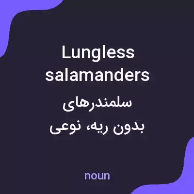 معنی lungless salamanders به فارسی معنی lungless salamanders به فارسی