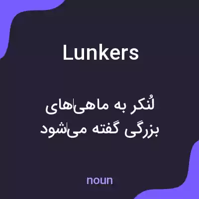 معنی lunkers به فارسی معنی lunkers به فارسی