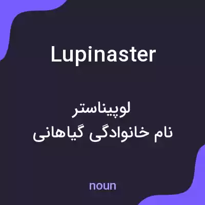 معنی lupinaster به فارسی معنی lupinaster به فارسی