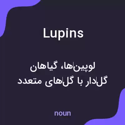 معنی lupins به فارسی معنی lupins به فارسی