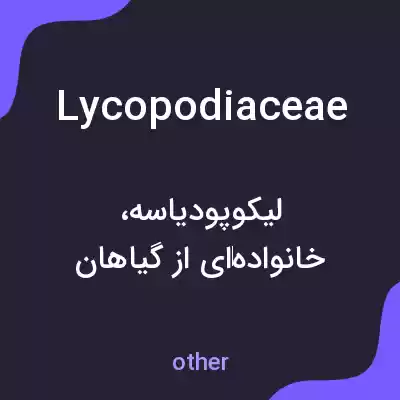 معنی lycopodiaceae به فارسی معنی lycopodiaceae به فارسی