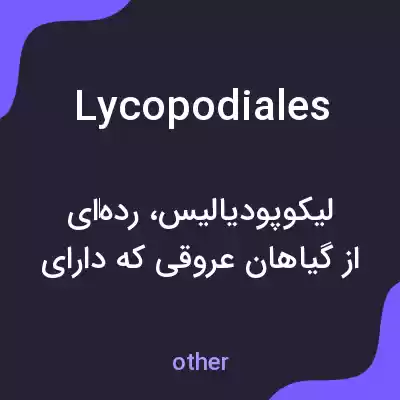 معنی lycopodiales به فارسی معنی lycopodiales به فارسی