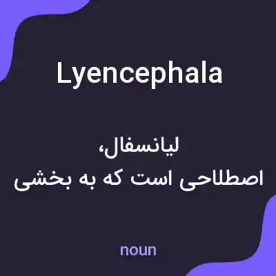 معنی lyencephala به فارسی