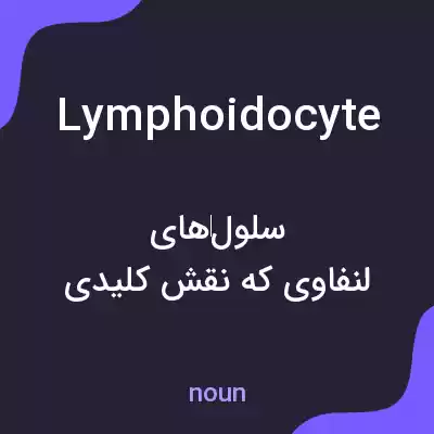 معنی lymphoidocyte به فارسی معنی lymphoidocyte به فارسی