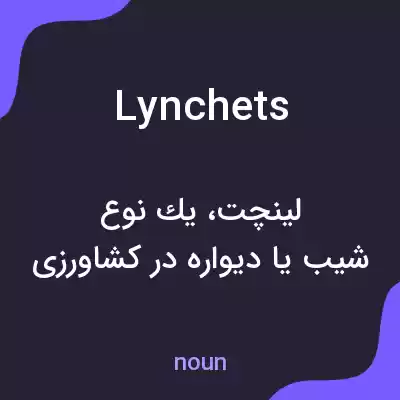 معنی lynchets به فارسی معنی lynchets به فارسی