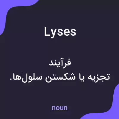 معنی lyses به فارسی معنی lyses به فارسی