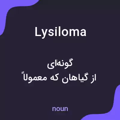 معنی lysiloma به فارسی معنی lysiloma به فارسی