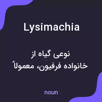 معنی lysimachia به فارسی معنی lysimachia به فارسی