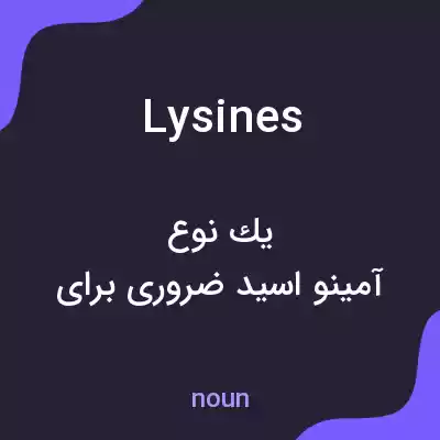 معنی lysines به فارسی معنی lysines به فارسی