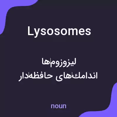 معنی lysosomes به فارسی معنی lysosomes به فارسی