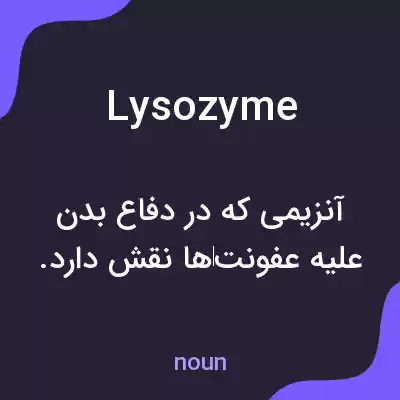 معنی lysozyme به فارسی معنی lysozyme به فارسی
