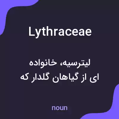 معنی lythraceae به فارسی معنی lythraceae به فارسی