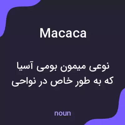 معنی macaca به فارسی معنی macaca به فارسی
