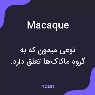 معنی macaque به فارسی معنی macaque به فارسی