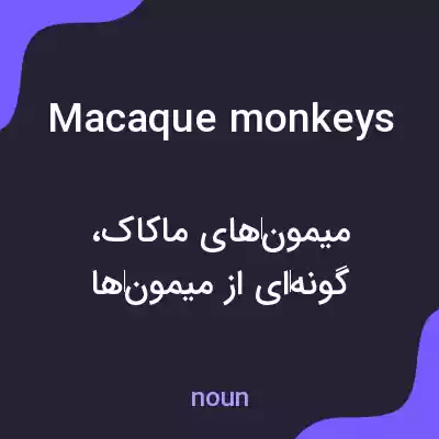 معنی macaque monkeys به فارسی معنی macaque monkeys به فارسی