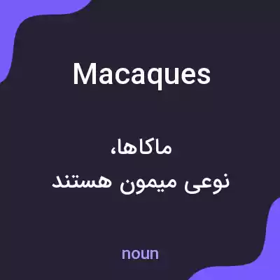 معنی macaques به فارسی معنی macaques به فارسی