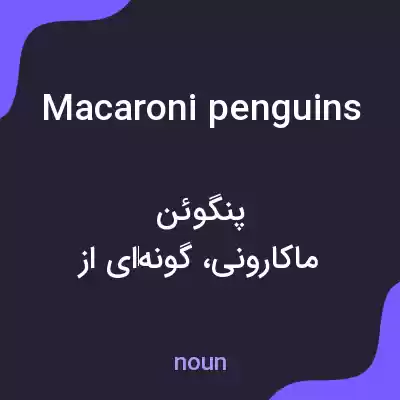 معنی macaroni penguins به فارسی معنی macaroni penguins به فارسی