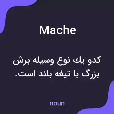 معنی mache به فارسی معنی mache به فارسی