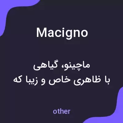 معنی macigno به فارسی معنی macigno به فارسی